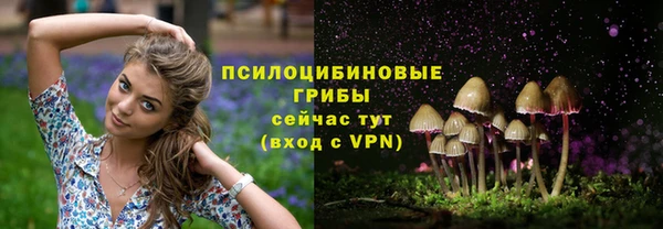 гашик Алексеевка